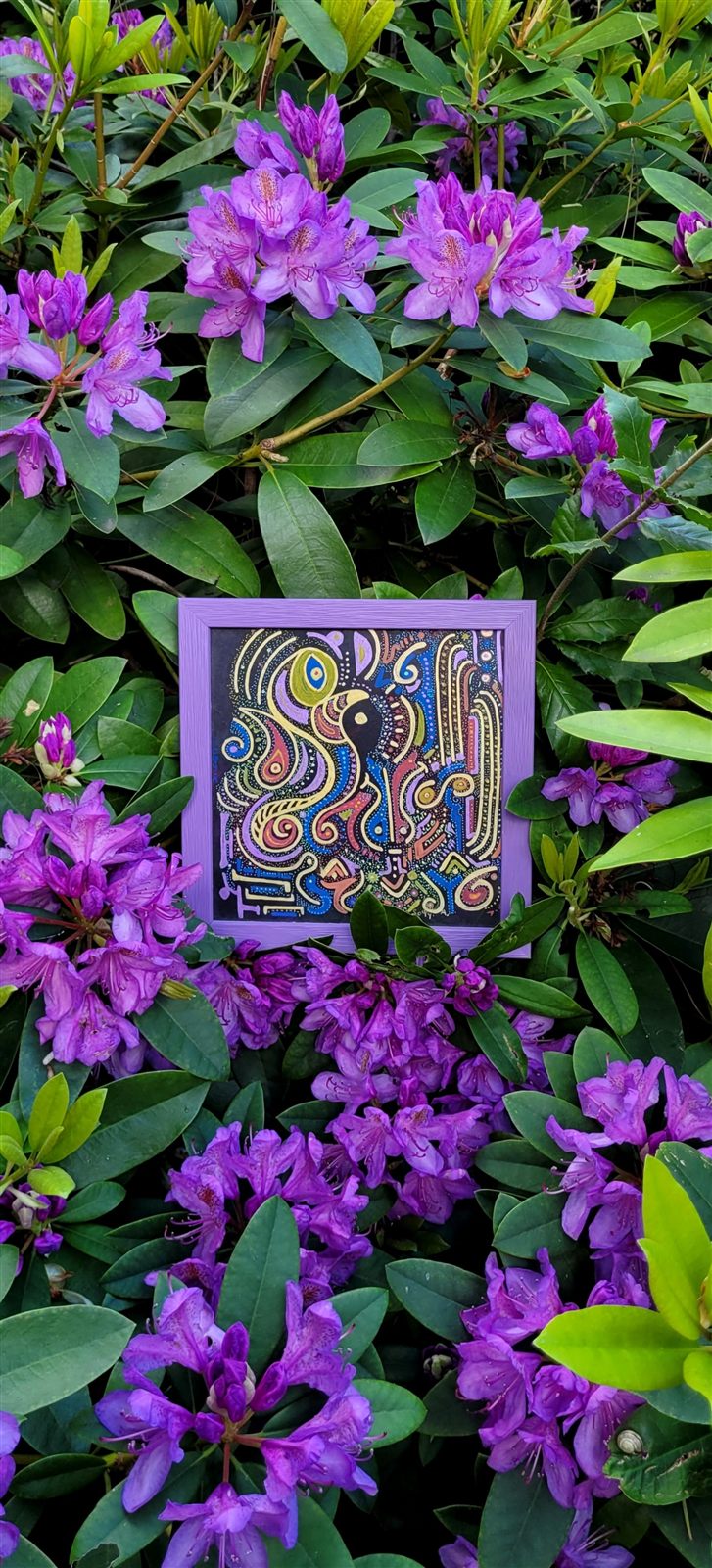 Zendele Ia — Sophie Luciani