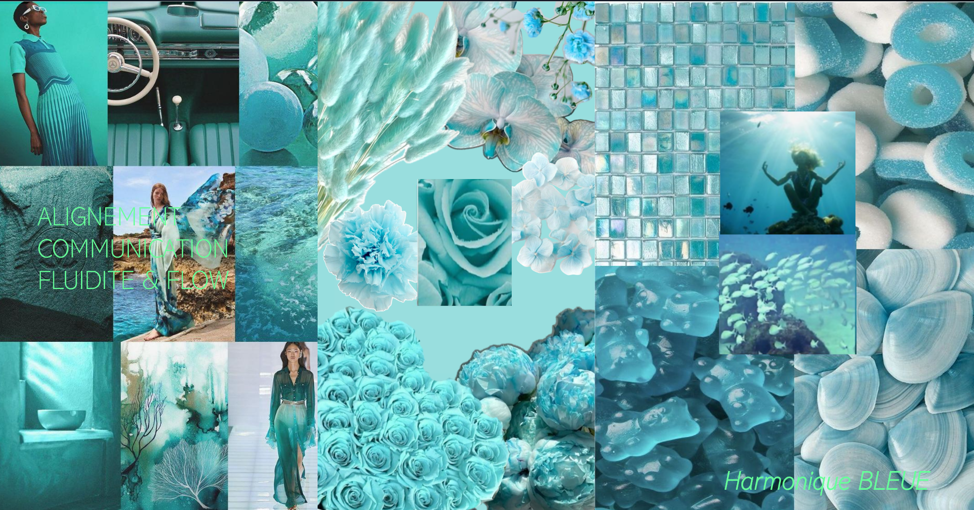 Harmonique Bleue — LCDE©